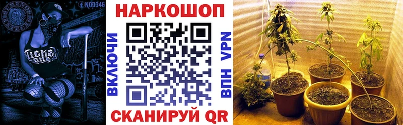 Купить наркотик аптеки Махачкала Альфа ПВП  COCAIN  MEGA маркетплейс  МАРИХУАНА  Меф 