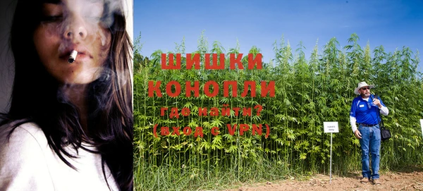 кокс Волоколамск