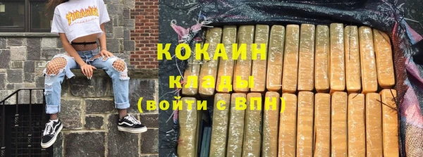 ПСИЛОЦИБИНОВЫЕ ГРИБЫ Волосово