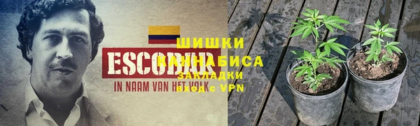 ПСИЛОЦИБИНОВЫЕ ГРИБЫ Волосово