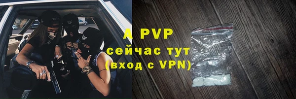 ПСИЛОЦИБИНОВЫЕ ГРИБЫ Волосово