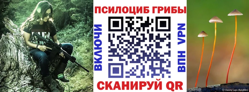 Псилоцибиновые грибы мицелий Махачкала